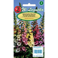 Naparstnica purpurowa - Mix kolorów LEGUTKO