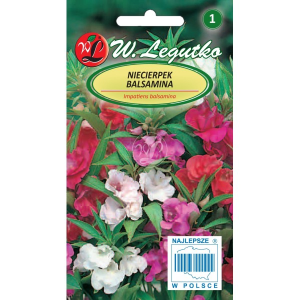 Niecierpek balsamina Mix kolorów LEGUTKO