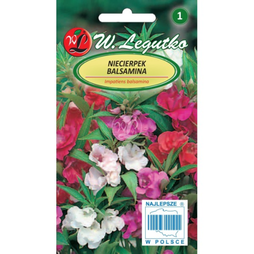 Niecierpek balsamina Mix kolorów LEGUTKO