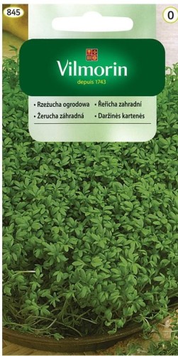 Rzeżucha ogrodowa VILMORIN 10g