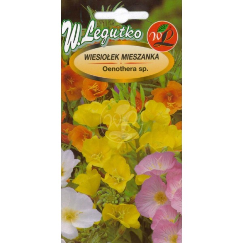 Wiesiołek Mix gatunków wieloletnich LEGUTKO