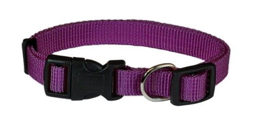 Obroża gładka fioletowa "M" 1,5 cm