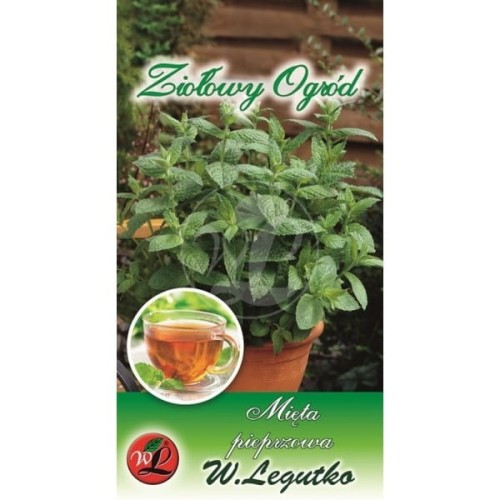 Mięta pieprzowa - zioła wieloletnie LEGUTKO