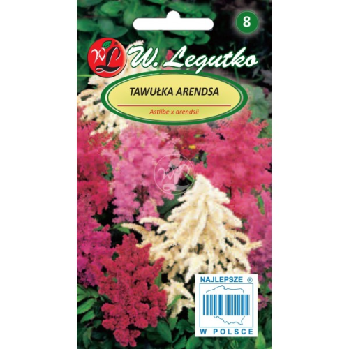 Tawułka Arendsa Mix kolorów 50-70cm LEGUTKO