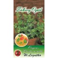 Oregano Lebiodka Pospolita - zioła wieloletnie LEGUTKO