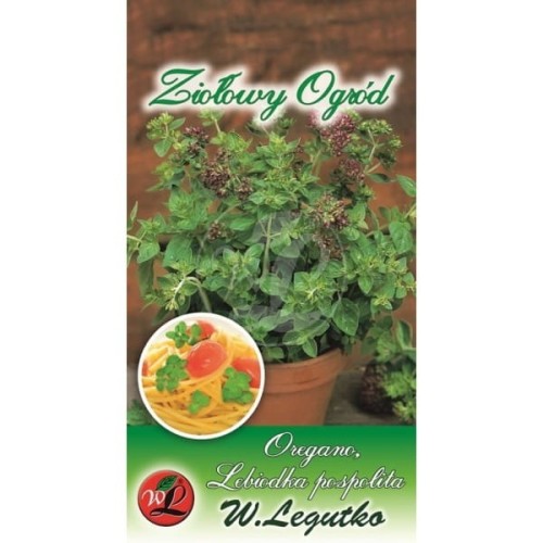 Oregano Lebiodka Pospolita - zioła wieloletnie LEGUTKO
