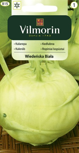 Kalarepa Wiedeńska Biała, wczesna VILMORIN