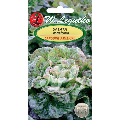 Sałata SANGUINE AMELIORE LEGUTKO