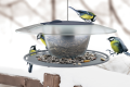 Karmnik dla ptaków plastikowy BIRD FEEDER ROUND