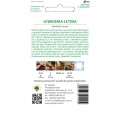 Lewkonia MAMMOTH MIX LEGUTKO