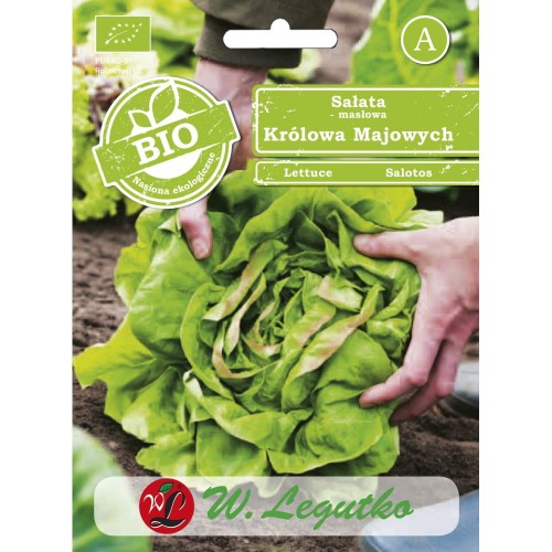 SAŁATA MAY KING 0,5g BIO LEGUTKO