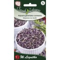 Kiełki BIO kapusta czerwona 10g LEGUTKO