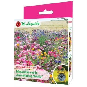 Mieszanka kwiatów LAST MINUTE 125g 25m2 LEGUTKO