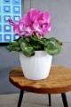 Doniczka Jumper Magnolia 14cm Biały Lamela