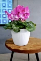 Doniczka Jumper Magnolia 26cm Biały Lamela