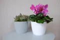 Doniczka Jumper Magnolia 26cm Biały Lamela