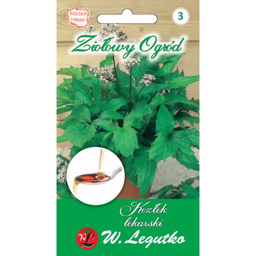 Kozłek Lekarski nasiona ZIÓŁ LEGUTKO