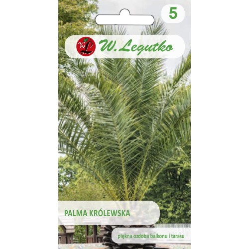 Palma Królewska 5nas. LEGUTKO