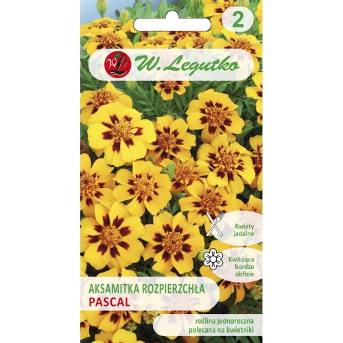Aksamitka rozpierzchła PASCAL 1g LEGUTKO