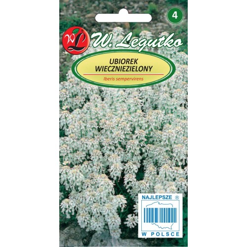 Ubiorek wieczniezielony wieloletni BIAŁY 0,5g LEGUTKO
