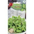 Baby Leaf Portulaka Warzywna młode listki 0,5g LEGUTKO