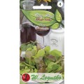 Baby Leaf Sałata MIX młode listki 1,5g LEGUTKO