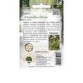 Baby Leaf Sałata MIX młode listki 1,5g LEGUTKO