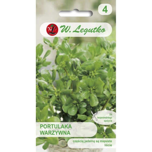 Portulaka warzywna LEGUTKO