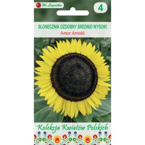 Kwiaty Polskie Słonecznik Amor Amand 2g LEGUTKO