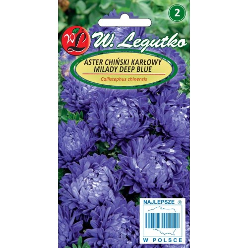 Aster chiński karłowy Milady Deep Blue NIEBIESKI 1g  LEGUTKO