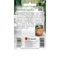 Baby leaf Mieszanka Łagodna młode listki 1,5g LEGUTKO
