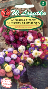 Mieszanka Astrów na kwiat cięty 1g LEGUTKO