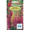 Naparstnica purpurowa dwuletnia 0,5g LEGUTKO