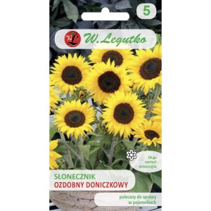 Kwiat PL Słonecznik POLINO cola 1g LEGUTKO