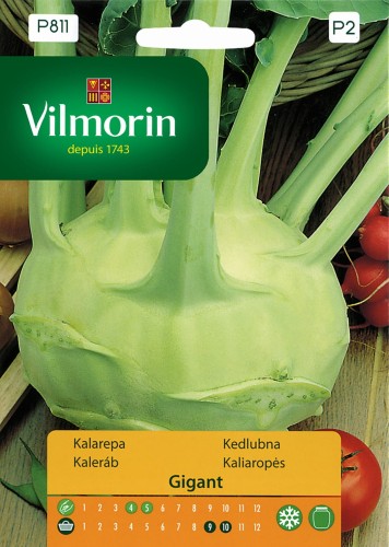 Kalarepa GIGANT  2kg  VILMORIN 2g