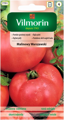Pomidor malinowy Warszawski gruntowy wysoki 0,5g VILMORIN