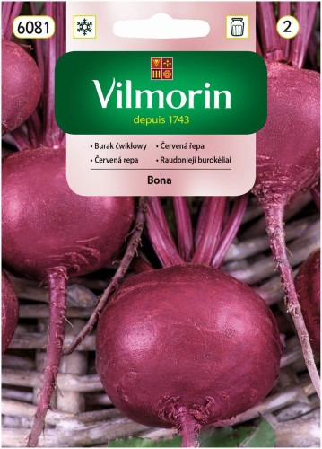 Burak ćwikłowy BONA  10g ST VILMORIN