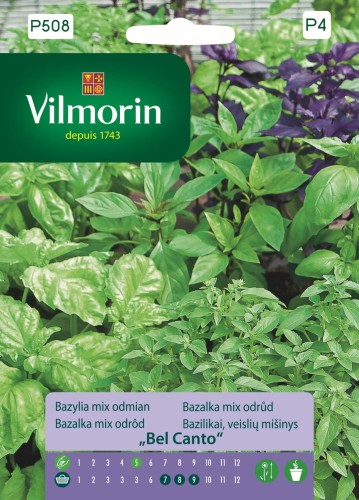 Bazylia mix odmian Bel Canto 1g ST VILMORIN