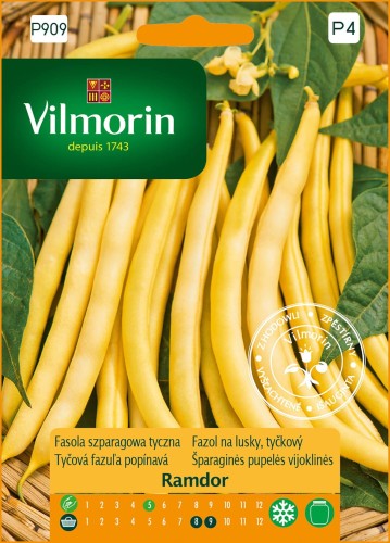 Fasola szparagowa RAMDOR 10g ST VILMORIN