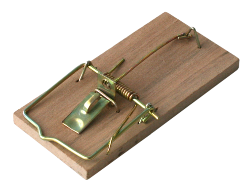 Łapka na myszy drewniana BROS