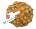 Cebula dymka STUTTGARTER 14/21mm 250g
