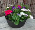 Miska PROSTA Donica 22cm TERAKOTA