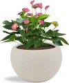 Doniczka Sphere Wood Beżowy/PIASEK 29cm DOMELO plastikowa lekka