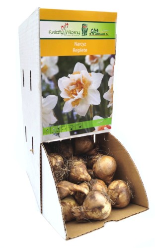 Narcyz Narcissus Replete cebulka 1szt