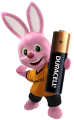 Baterie alkaliczne AAA  DURACELL 5szt