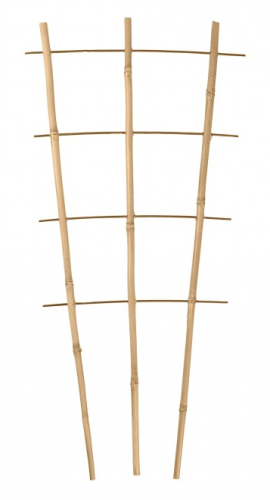 Podpora bambusowa 2-rzędowa DRABINKA 60cm