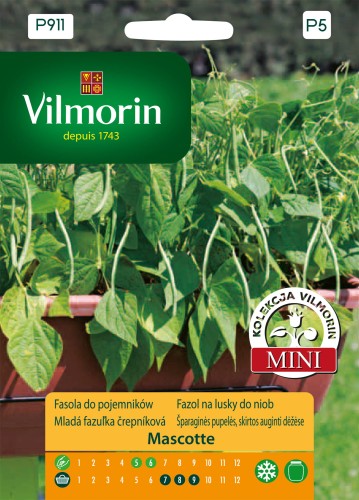 Fasola szparagowa zielona Mascotte 20g do pojemników VILMORIN