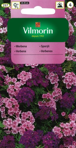 Werbena zwisająca MIX  0.3g nasiona kwiatów  VILMORIN