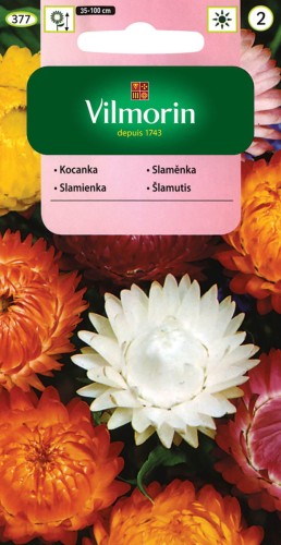 Kocanka Ogrodowa Mix kolorów VILMORIN