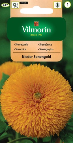 Słonecznik kwiatowy Nieder Sonengold VILMORIN